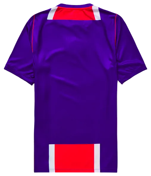 Maillot PSG 2024/2025 - Édition Spéciale Violet